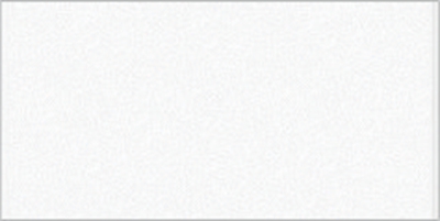 白紬-白釉 450×225mm-全屋整裝客廳吊頂抗菌吊頂效果圖